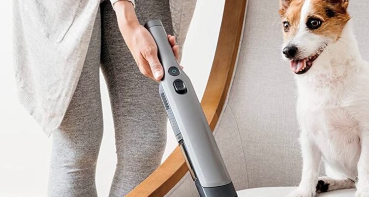 Best Cordless Vacuums for Pet Hair of Autumn 2023
